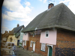 View of thatched roof